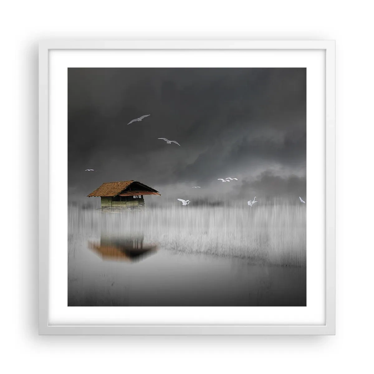 Plakat w białej ramie - Schronienie przed deszczem - 50x50 cm