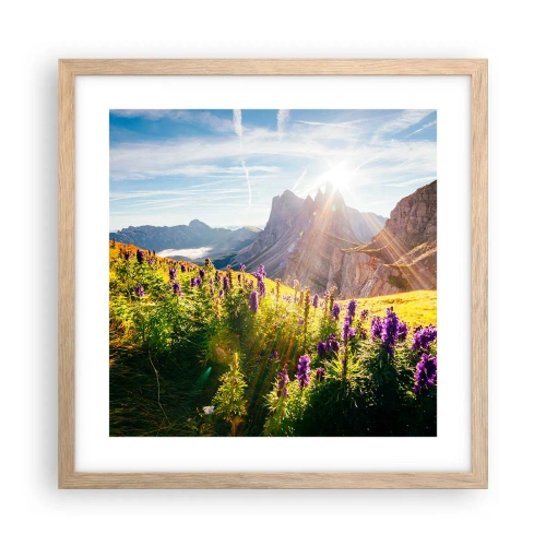 Plakat w ramie jasny dąb - Sekretne życie ziół - 40x40 cm