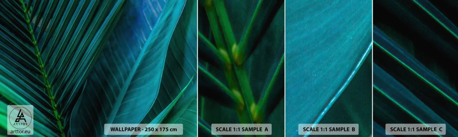 Fototapeta Próbka Standard Eco - Anatomia zieleni - Zielone Liście, Roślina Tropikalna, Natura - 100x30 cm