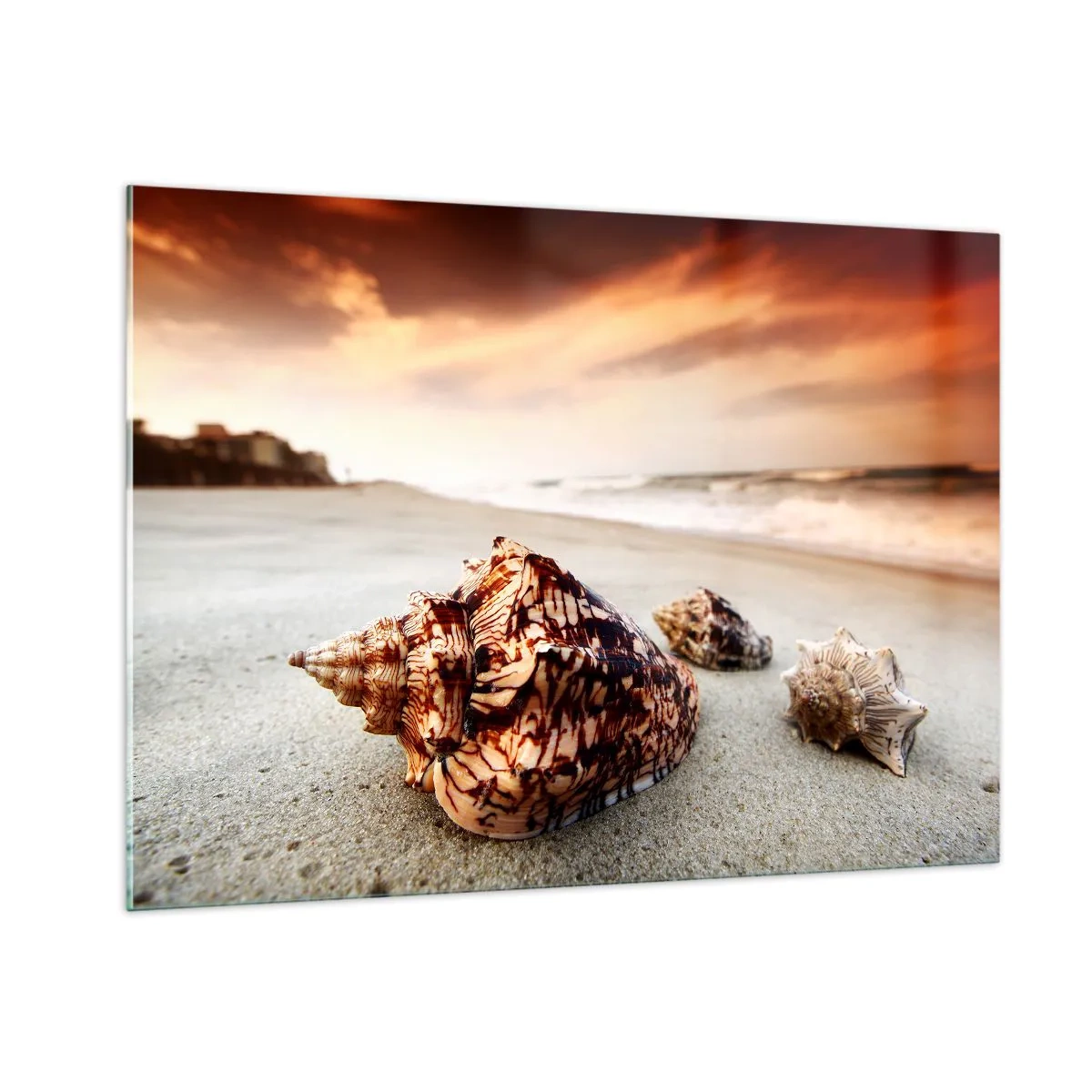 Obraz na szkle - Muszle na plaży o zachodzie słońca - 100x70cm - Wygnanki fal - Nowoczesna dekoracja ścienna do salonu, kuchni i sypialni ARTTOR