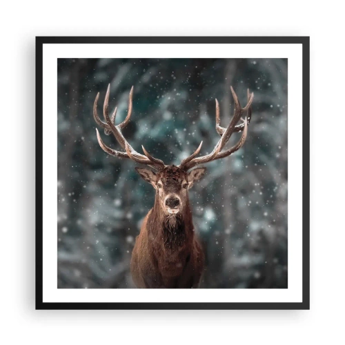 Plakat w czarnej ramie - Król lasu ukoronowany - 60x60 cm