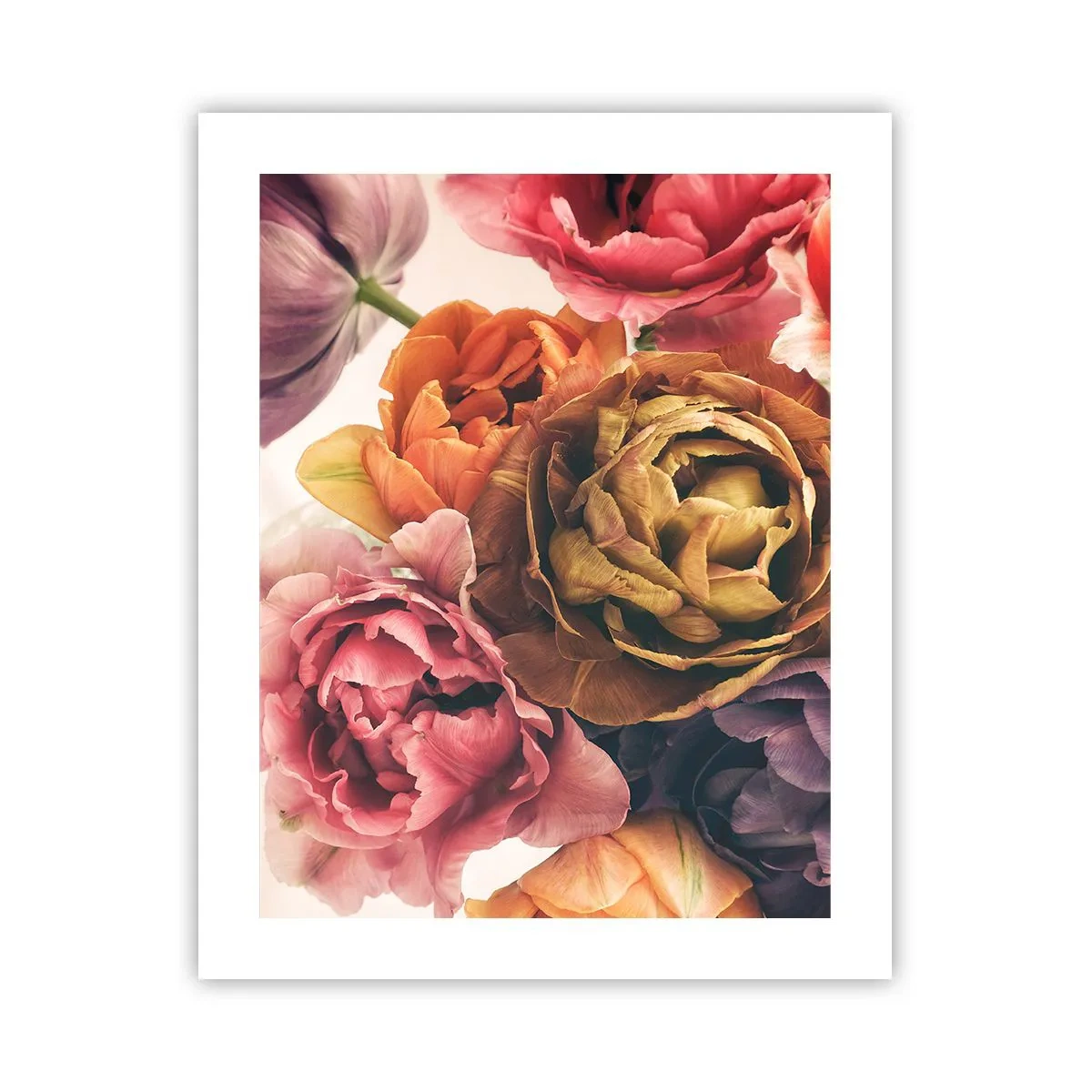 Plakat - Święto życia - 40x50 cm