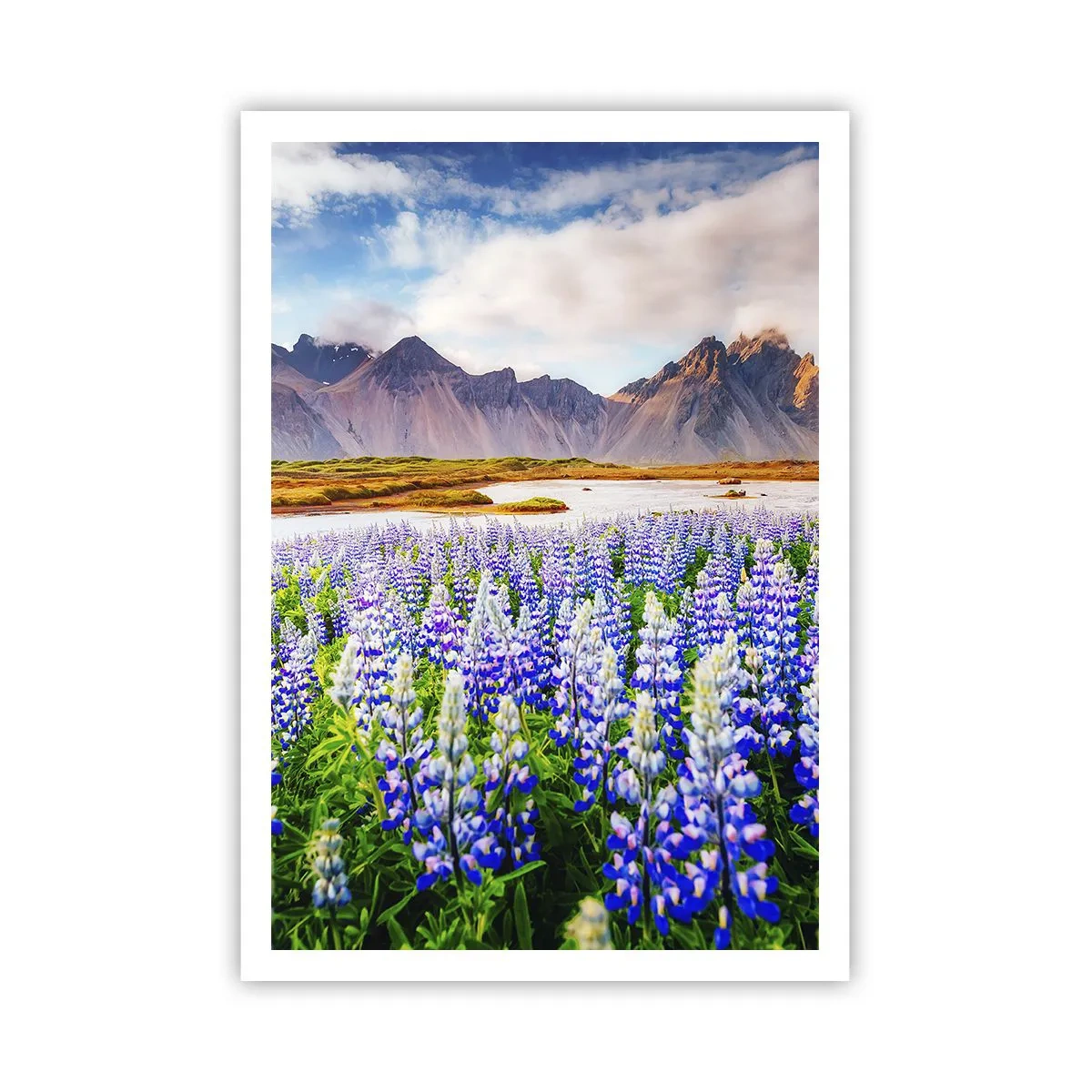 Plakat - Siła i surowość obok łagodności - 70x100 cm