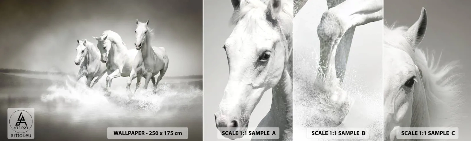 Fototapeta Próbka Standard Eco - Białe szaleństwo - Zwierzęta, Konie, Natura - 100x30 cm