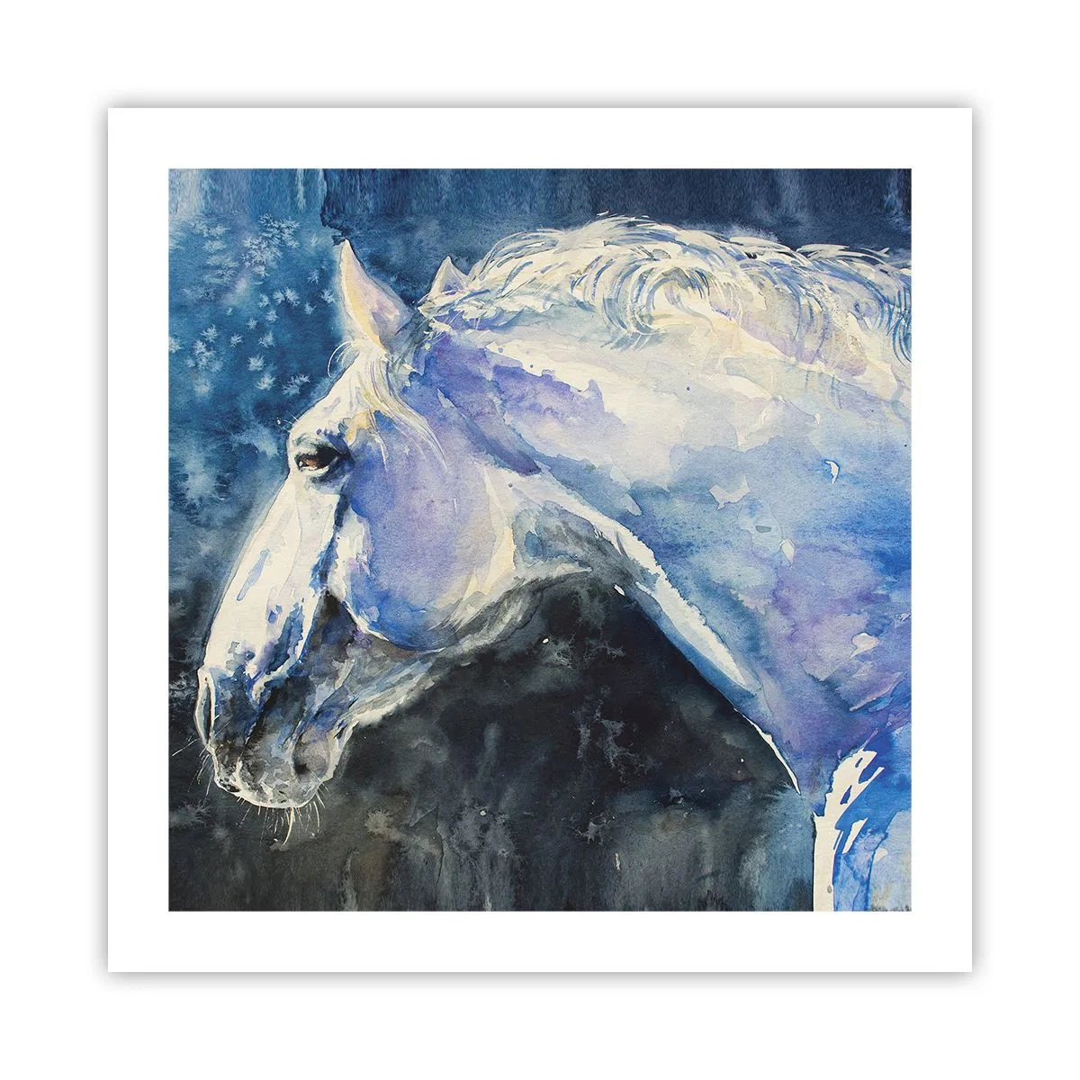 Plakat - Portret w błękitnej poświacie - 50x50 cm
