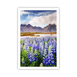 Plakat - Siła i surowość obok łagodności - 61x91 cm