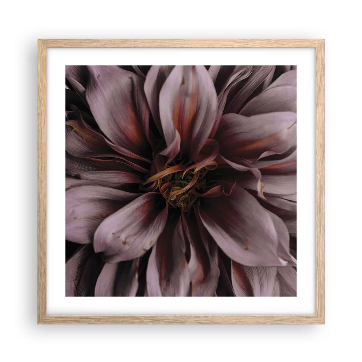 Plakat w ramie jasny dąb - Kwietne serce - 50x50 cm