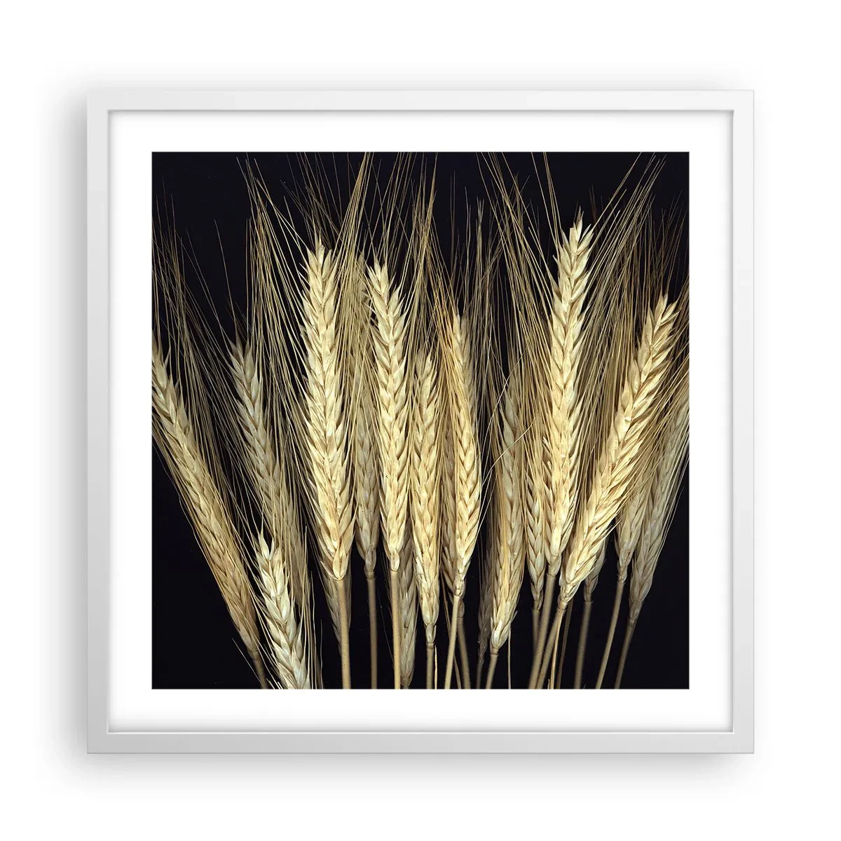 Plakat w białej ramie - Rustykalna magia - 50x50 cm