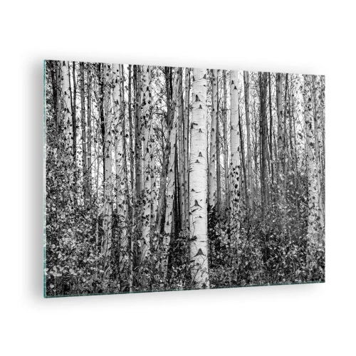 Obraz na szkle - Czarno-białe brzozy tworzące gęsty, leśny krajobraz - 70x50cm - Brzozowa kolumnada - Nowoczesna dekoracja ścienna do salonu i sypialni ARTTOR
