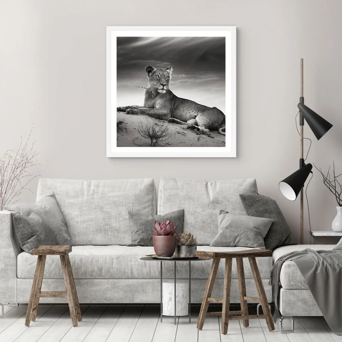 Plakat w białej ramie - Odpoczynek królowej pustyni - 50x50 cm