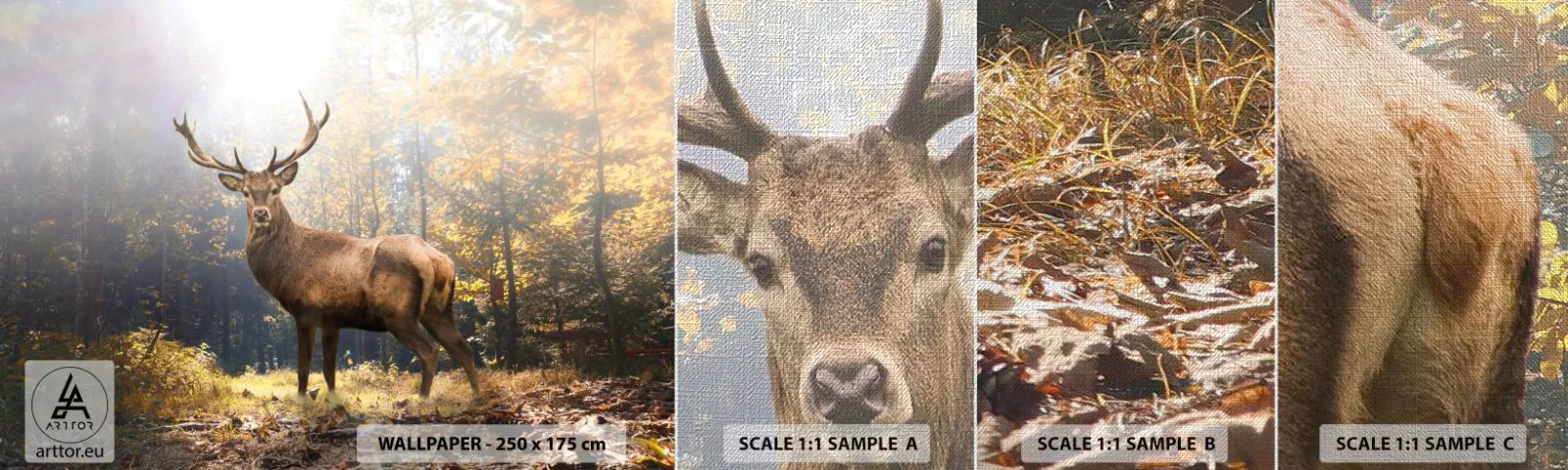 Fototapeta Próbka Premium Canvas - W pełnym majestacie - Krajobraz, Jeleń, Las - 100x30 cm