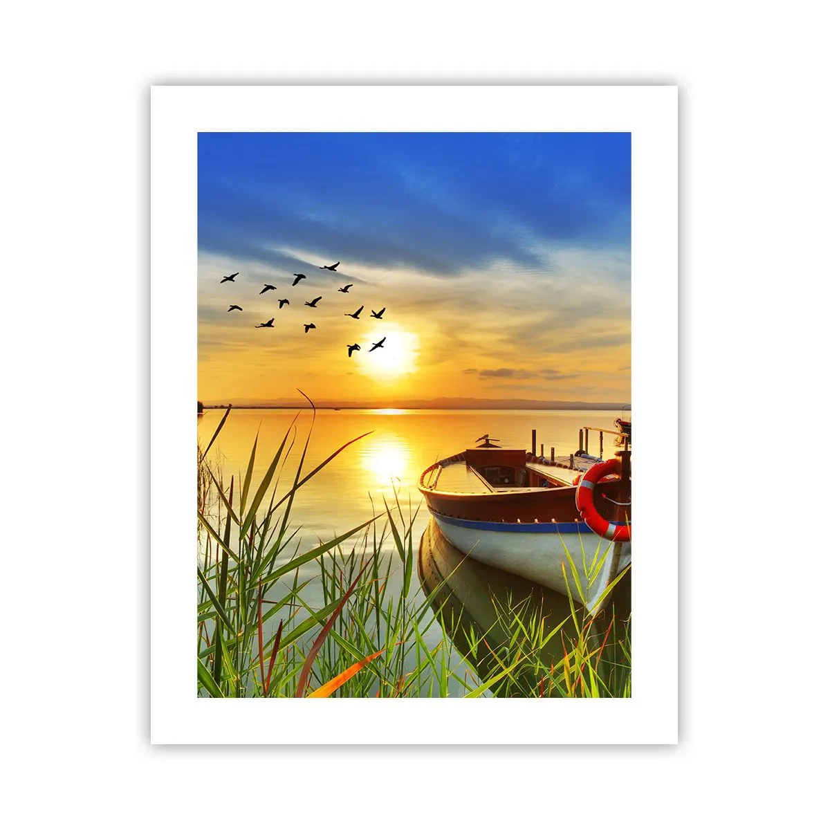 Plakat - Kormorany odlatują już - 40x50 cm