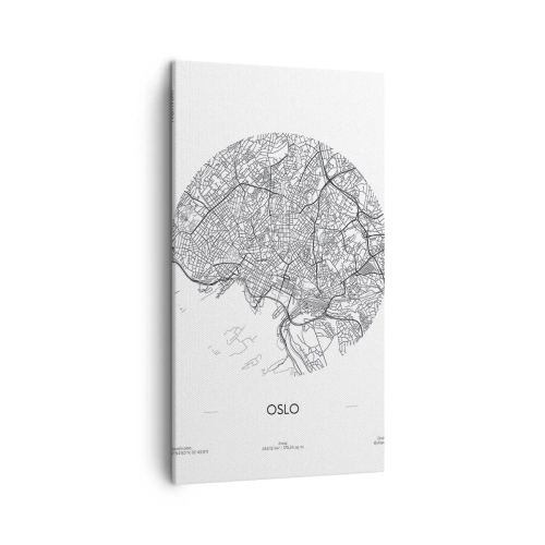 Obraz na płótnie - Anatomia Oslo - 45x80 cm