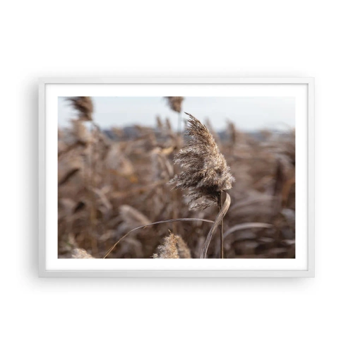 Plakat w białej ramie - Czas odlecieć z wiatrem - 70x50 cm