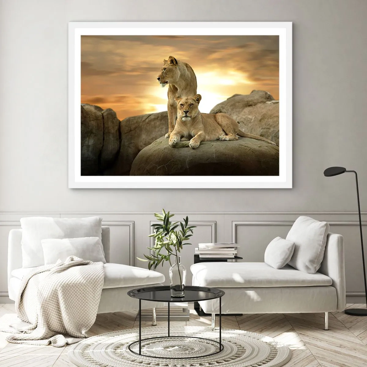 Plakat w białej ramie - Królewski majestat - 100x70 cm