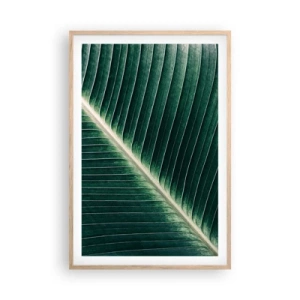Plakat w ramie jasny dąb - Rytm natury - 61x91 cm