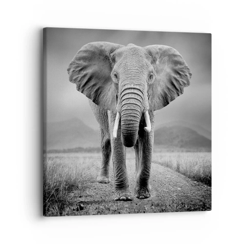 Obraz na płótnie - Gospodarz wita - 30x30 cm