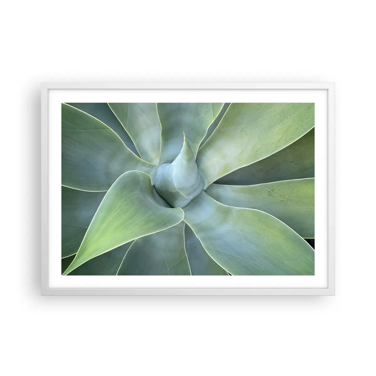 Plakat w białej ramie - Narodziny zieleni - 70x50 cm