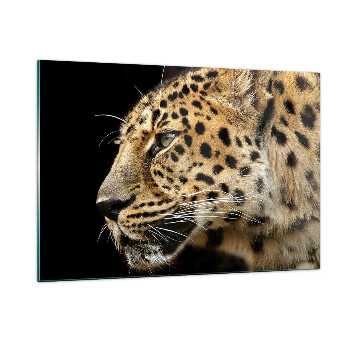 Obraz na szkle - Profil leoparda na czarnym tle - 120x80cm - Spokojny, skupiony, gotowy - Nowoczesna dekoracja ścienna do salonu, kuchni i sypialni ARTTOR