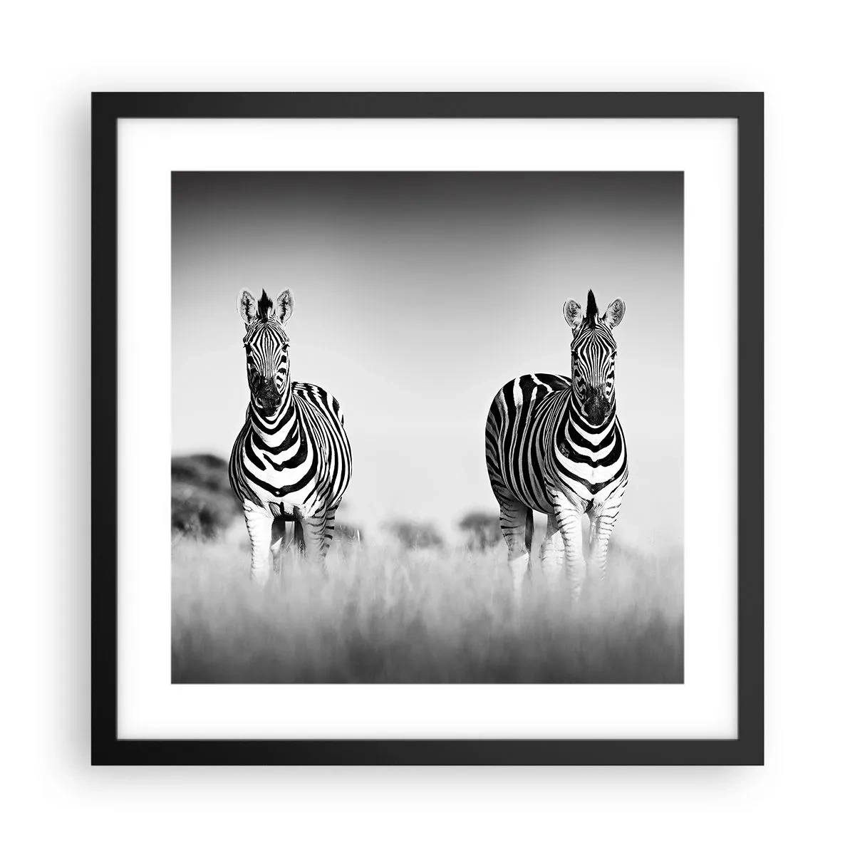 Plakat w czarnej ramie - A jednak świat jest czarno-biały - 40x40 cm