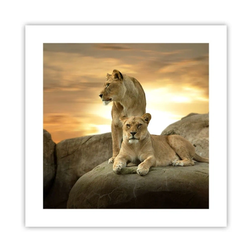 Plakat - Królewski majestat - 40x40 cm