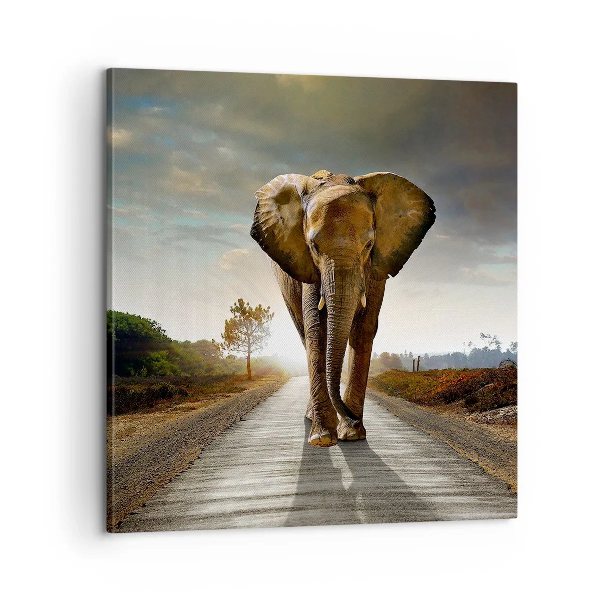 Obraz na płótnie - I wcale nie w składzie porcelany - 60x60 cm