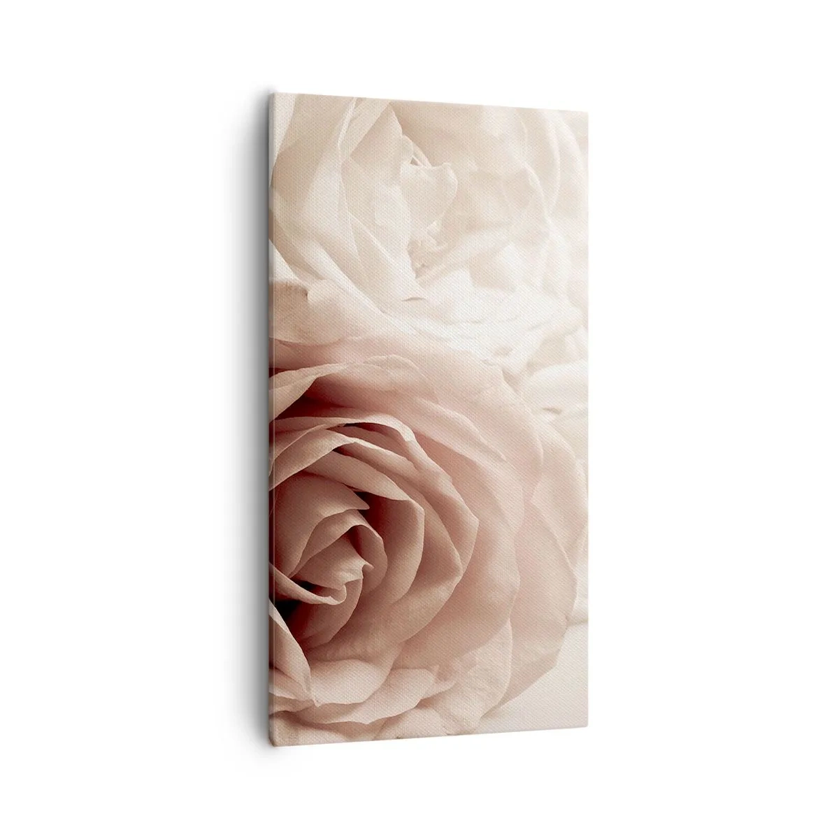Obraz na płótnie - W sercu róży - 55x100 cm