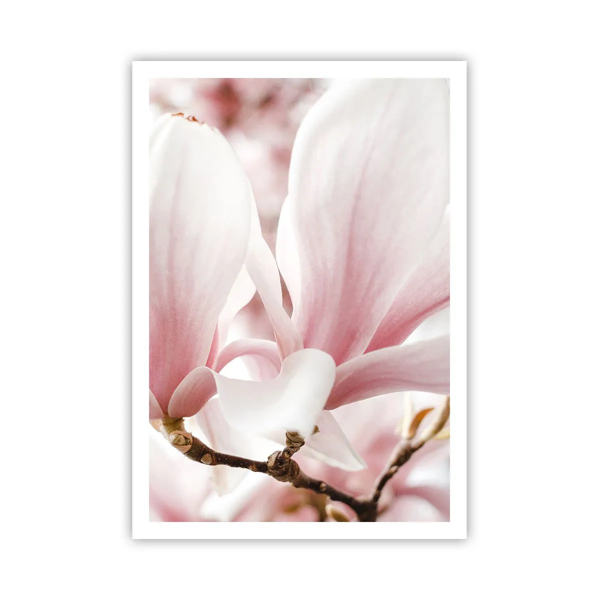 Plakat - Bezmiar czułości - 70x100 cm