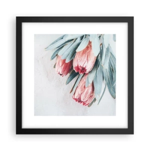 Plakat w czarnej ramie - Zawstydzone własną urodą - 30x30 cm
