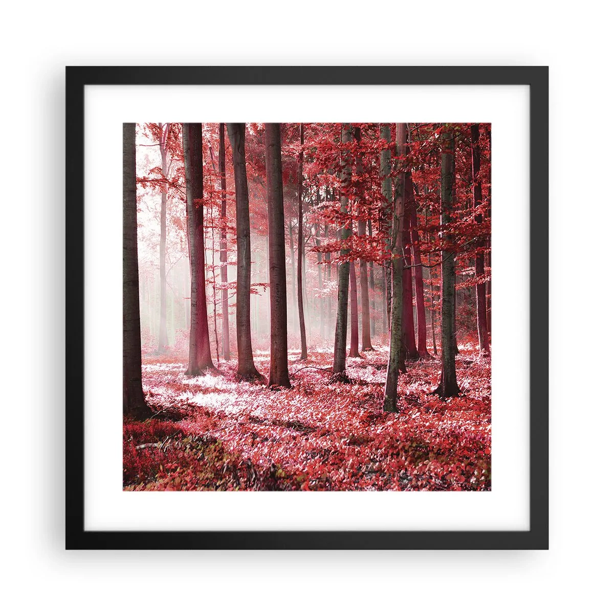 Plakat w czarnej ramie - Czerwony równie piękny - 40x40 cm