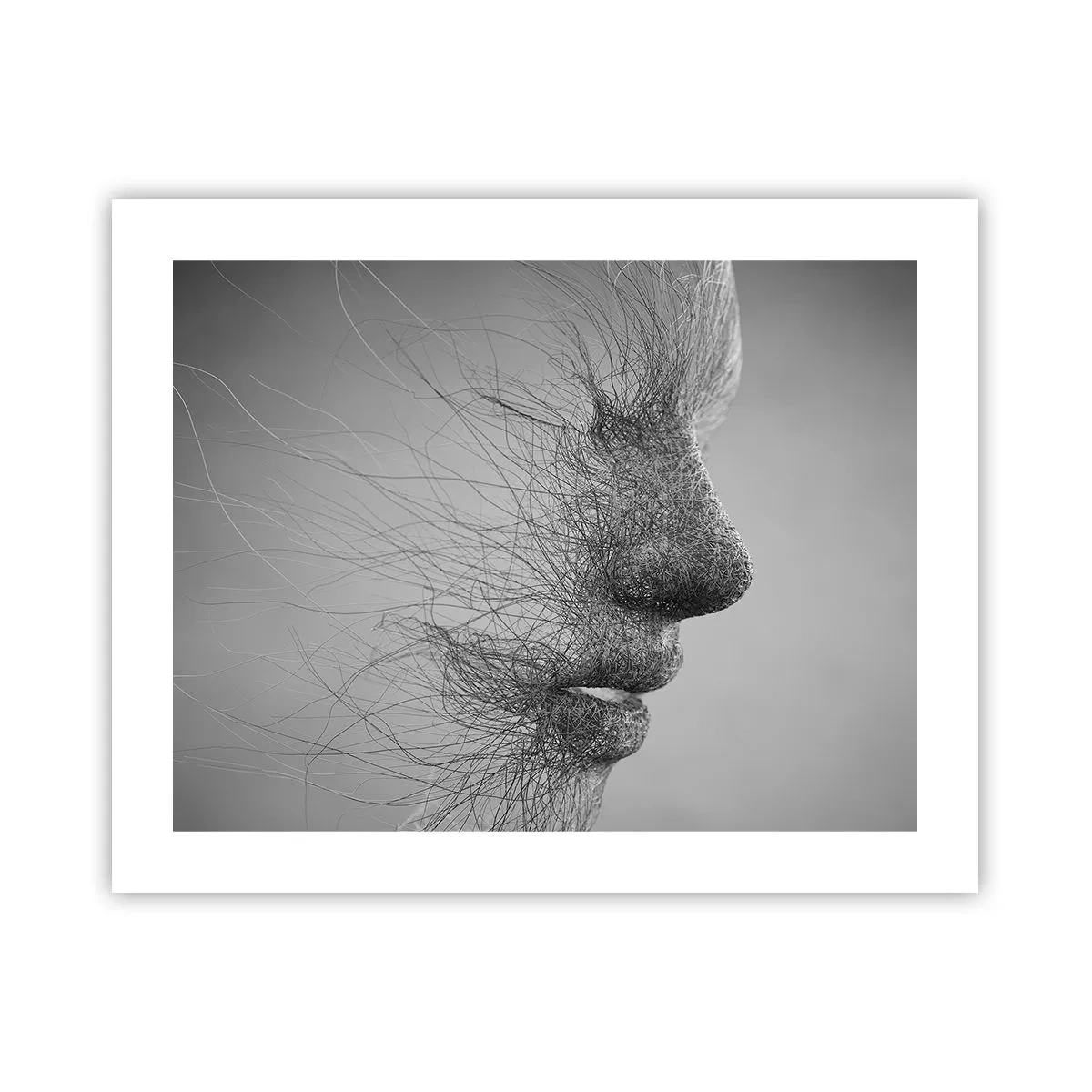 Plakat - Duch wiatru - 50x40 cm