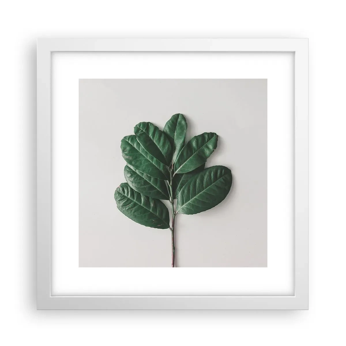 Plakat w białej ramie - Rysunek samej natury - 30x30 cm