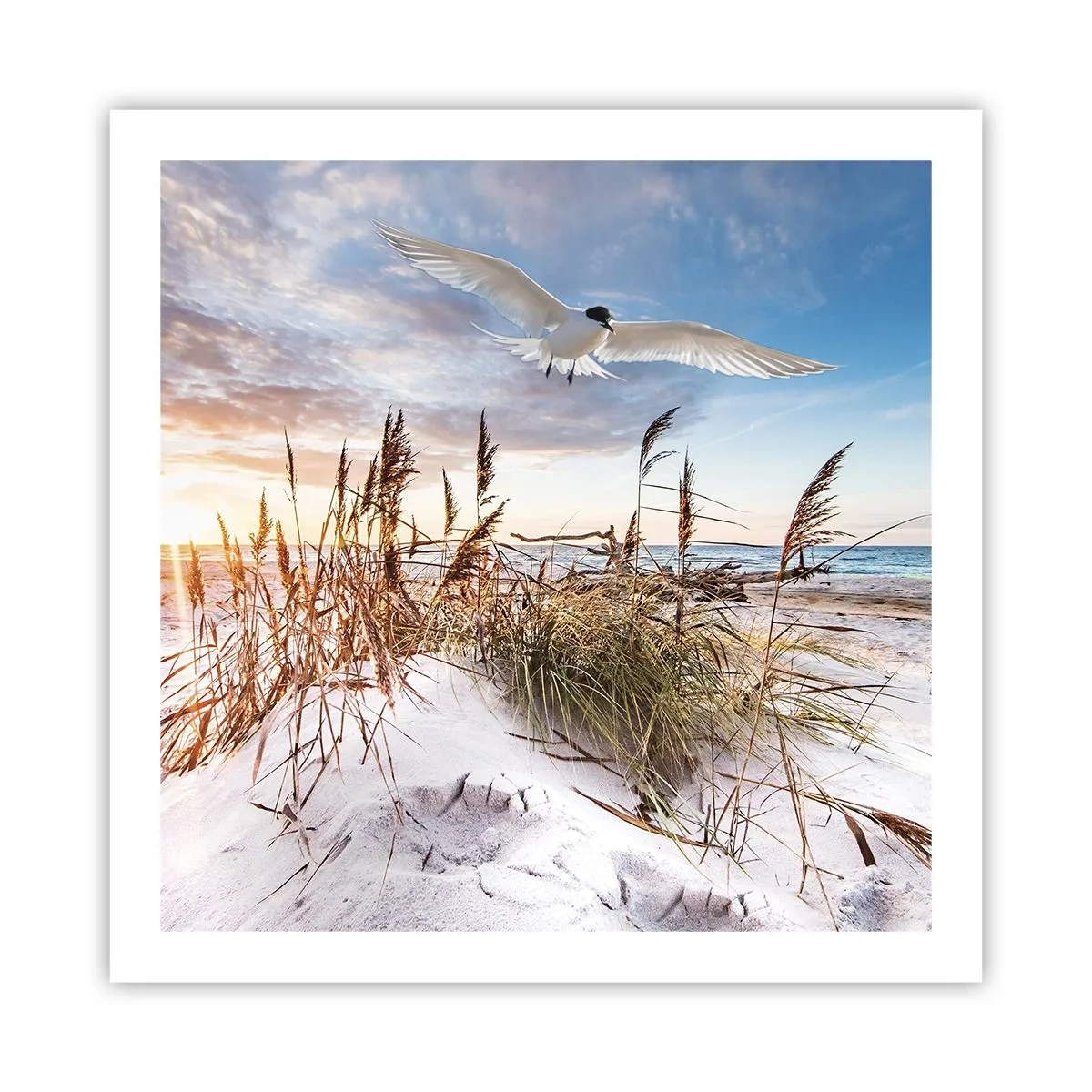 Plakat - Wiatr od morza - 60x60 cm
