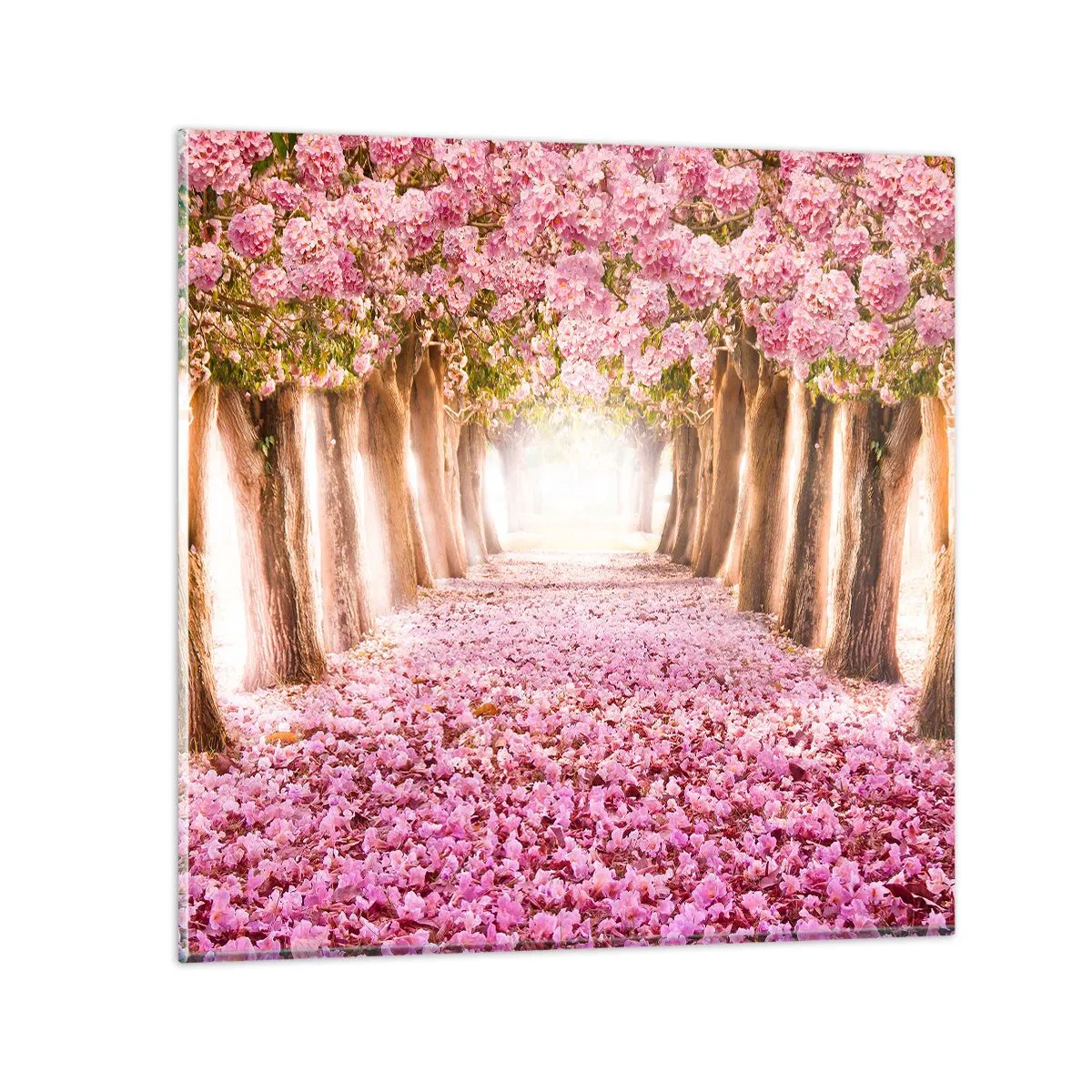 Obraz na szkle - Droga do raju - 60x60 cm