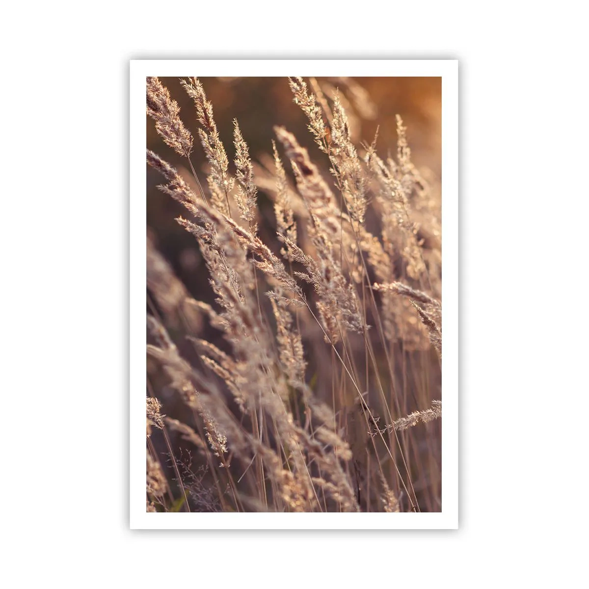 Plakat - Gotowe na powitanie jesieni - 70x100 cm