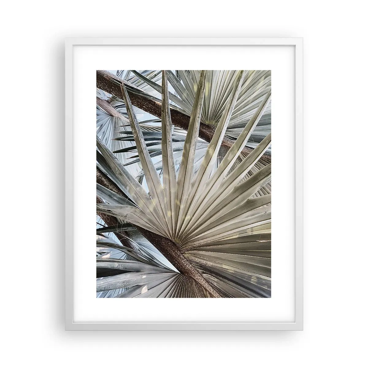 Plakat w białej ramie - Wachlarze w tropikach - 40x50 cm