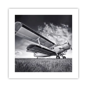 Plakat - Skrzydlaty wędrowiec - 40x40 cm