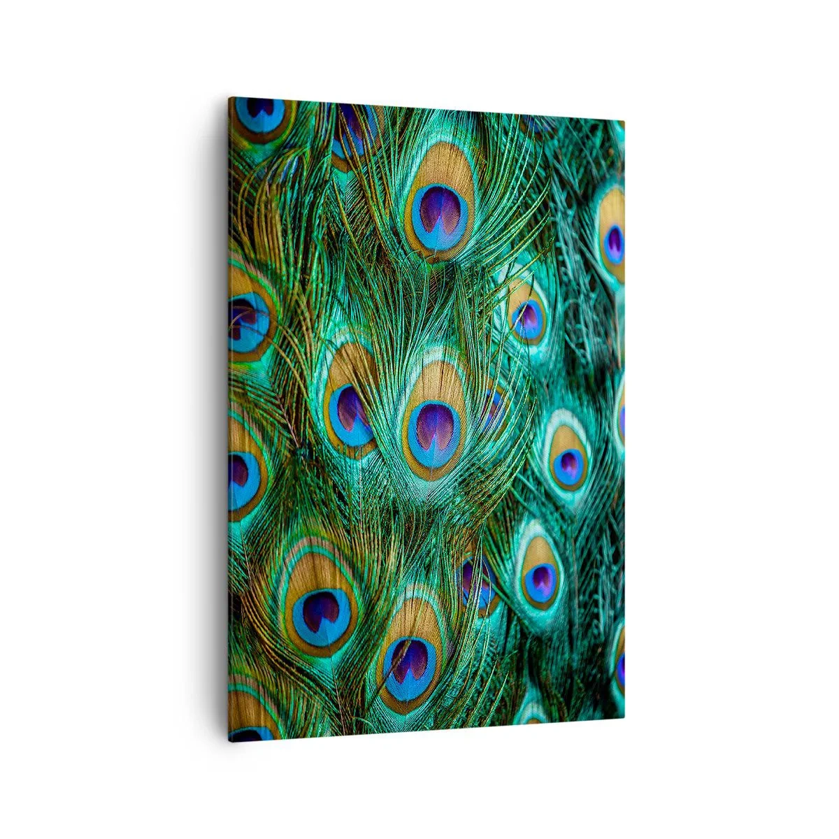 Obraz na płótnie - Detale pawich piór w soczystych kolorach - 70x100cm - Pawiookie spojrzenie - Nowoczesna dekoracja ścienna do salonu i sypialni ARTTOR