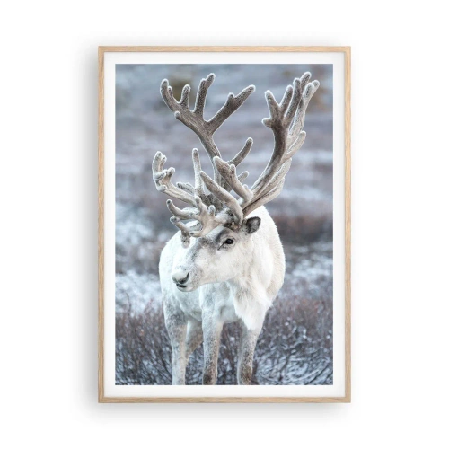 Plakat w ramie jasny dąb - Portret w słońcu - 70x100 cm