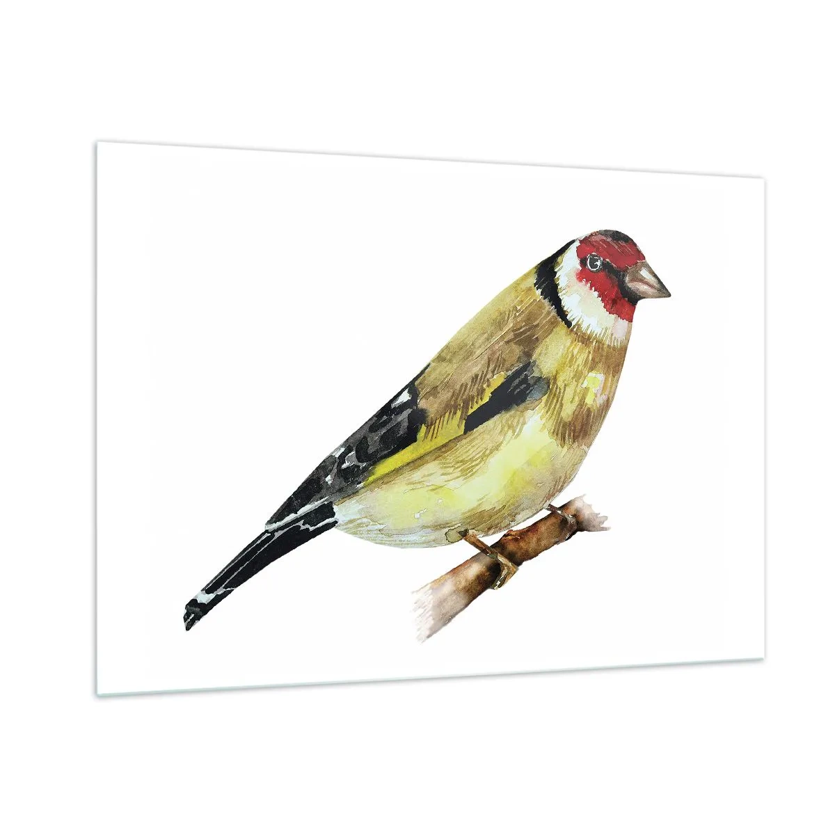 Obraz na szkle - Akwarelowy ptak na gałęzi w delikatnych barwach - 100x70cm - Ptasi portret - Nowoczesna dekoracja ścienna do salonu, kuchni i sypialni ARTTOR