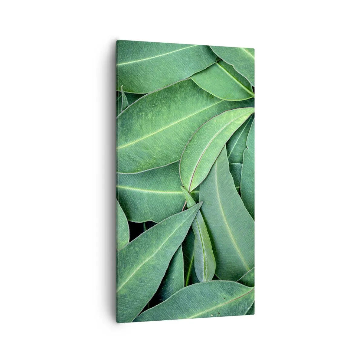 Obraz na płótnie - Soczyste i świeże - 55x100 cm