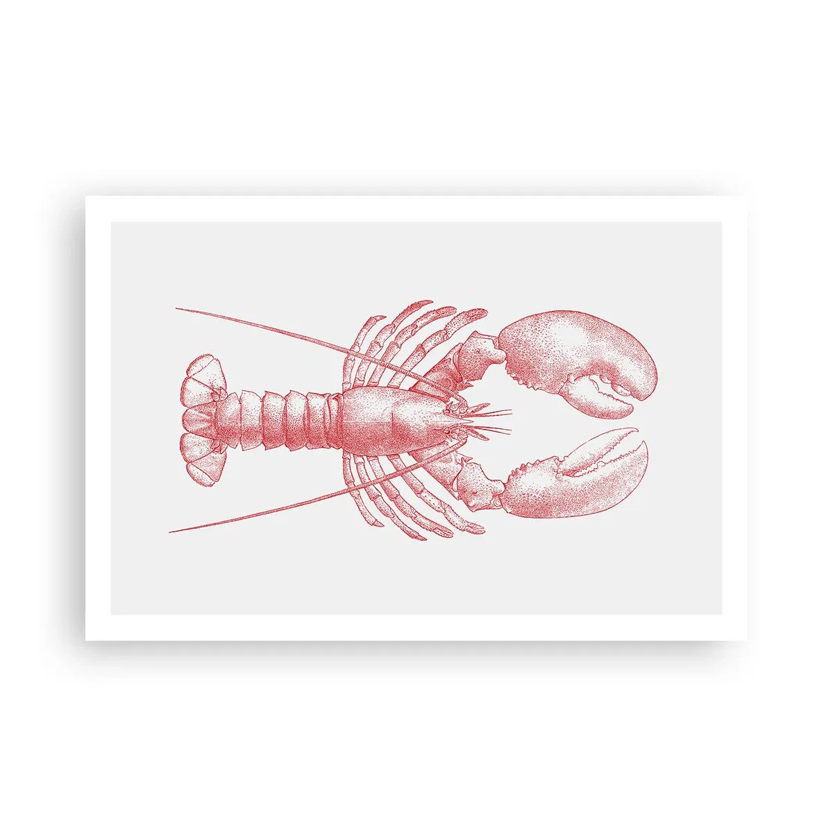 Plakat - Homar godny Homera - 91x61 cm