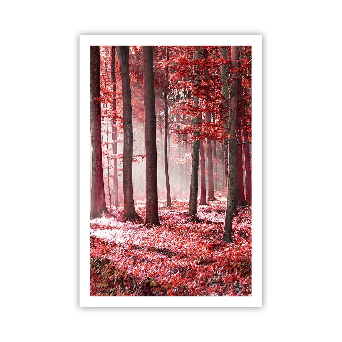 Plakat - Czerwony równie piękny - 61x91 cm