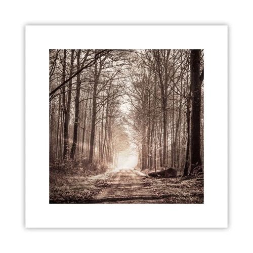 Plakat - Leśna katedra - 30x30 cm