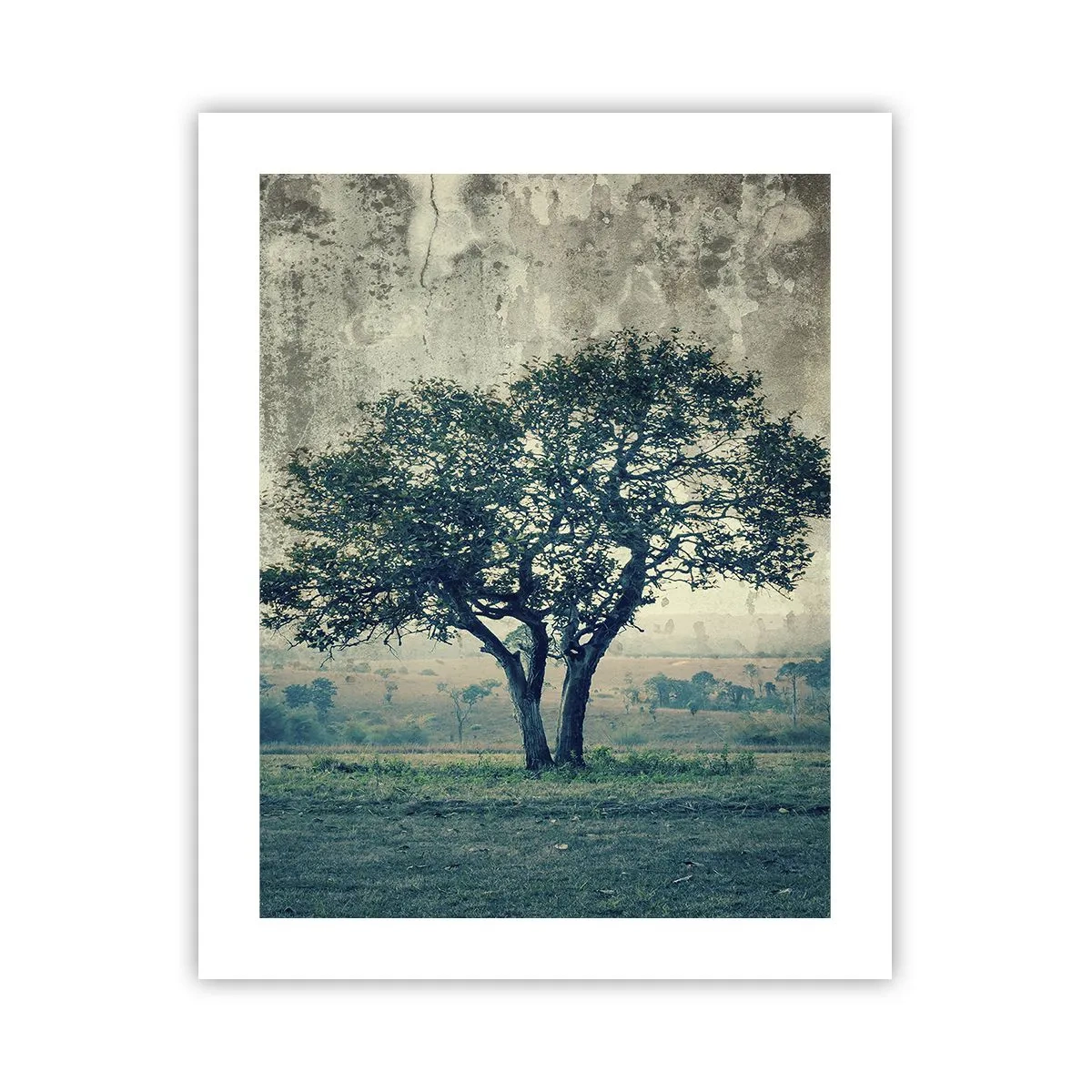 Plakat - Jabłoń na błękitnym błoniu? - 40x50 cm