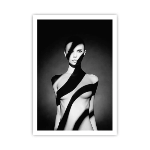 Plakat - W blasku i w cieniu - 70x100 cm