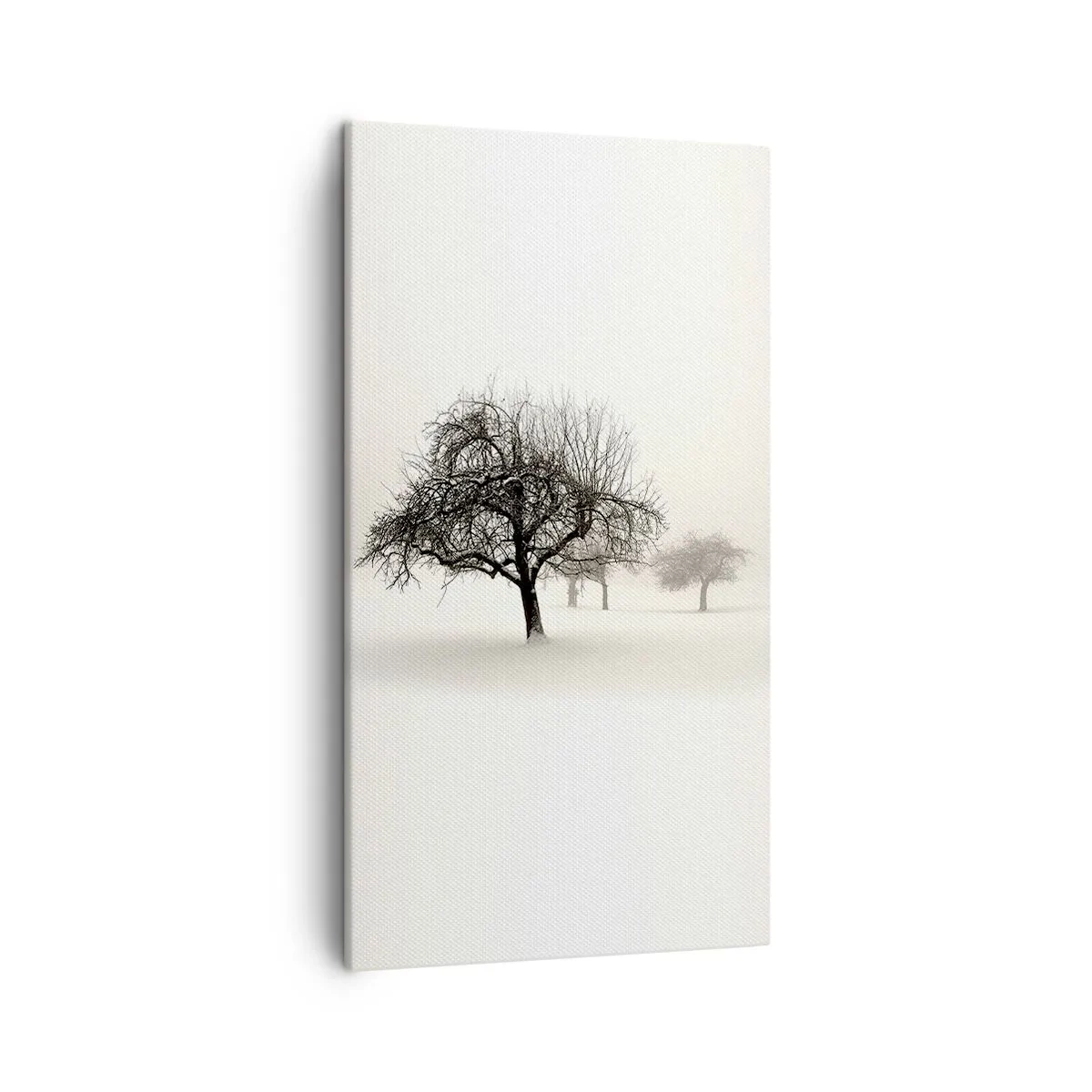 Obraz na płótnie - Zimowy sen - 45x80 cm