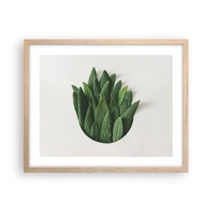 Plakat w ramie jasny dąb - Nieposkromiona ciekawość - 50x40 cm