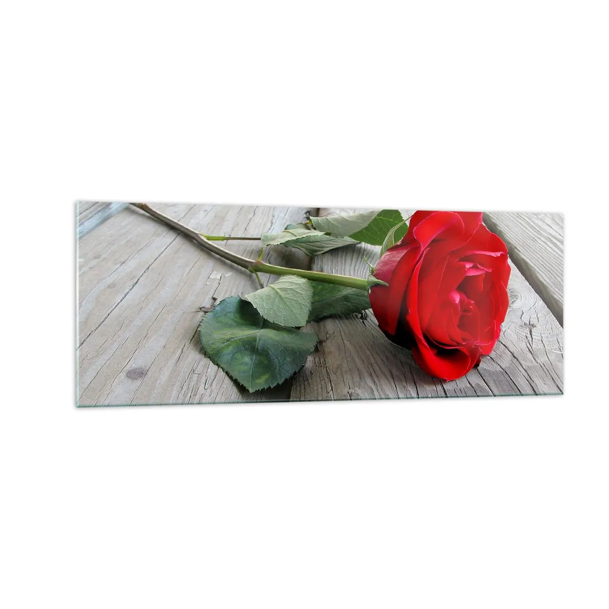 Obraz na szkle - Czerwona róża na drewnianym tle - 140x50cm - Studium w szkarłacie - Nowoczesna dekoracja ścienna do salonu i sypialni ARTTOR