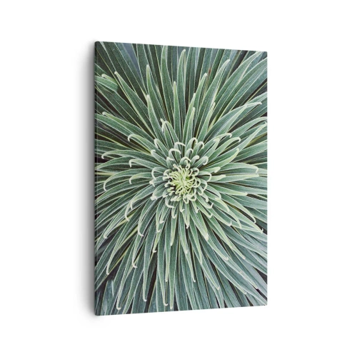 Obraz na płótnie - Zbliżenie na symetryczną rozetę zielonej rośliny - 50x70cm - Narodziny gwiazdy - Nowoczesna dekoracja ścienna do salonu, kuchni i sypialni ARTTOR